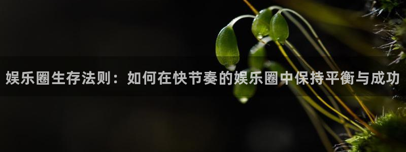 长运娱乐主管